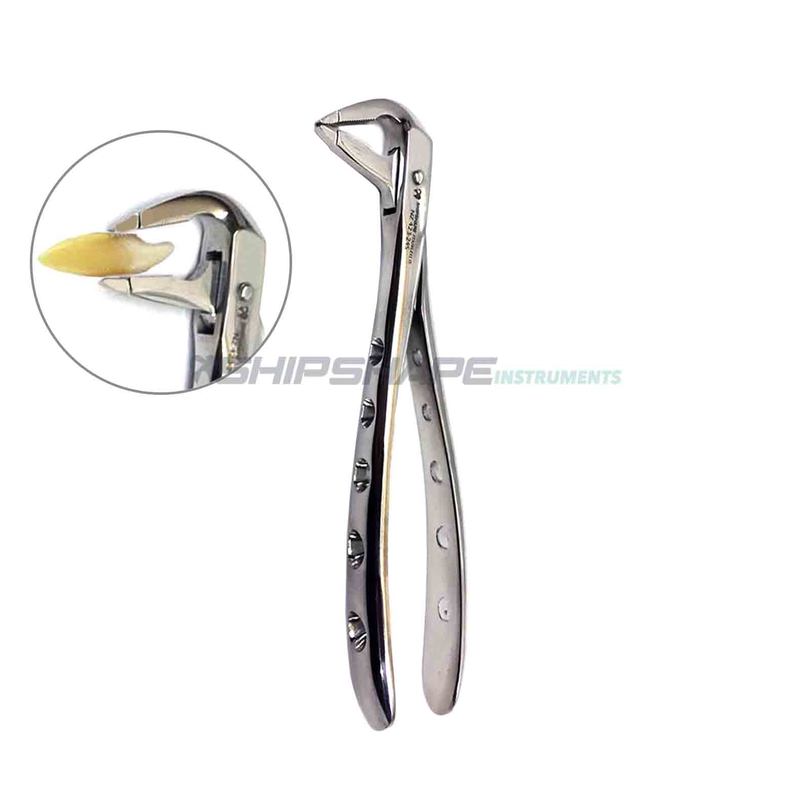Dental Atraumatic Tooth Extraction Forceps Set | Professional Instruments for Minimally Invasive Extractions - Image 8