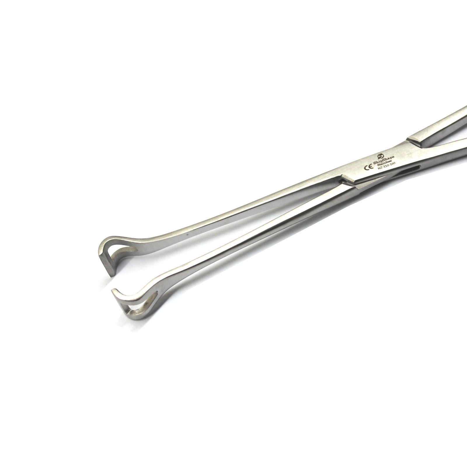 Babcock Forceps 10" Grasp Delicate Tissue Veterinary Surgical Instruments -275