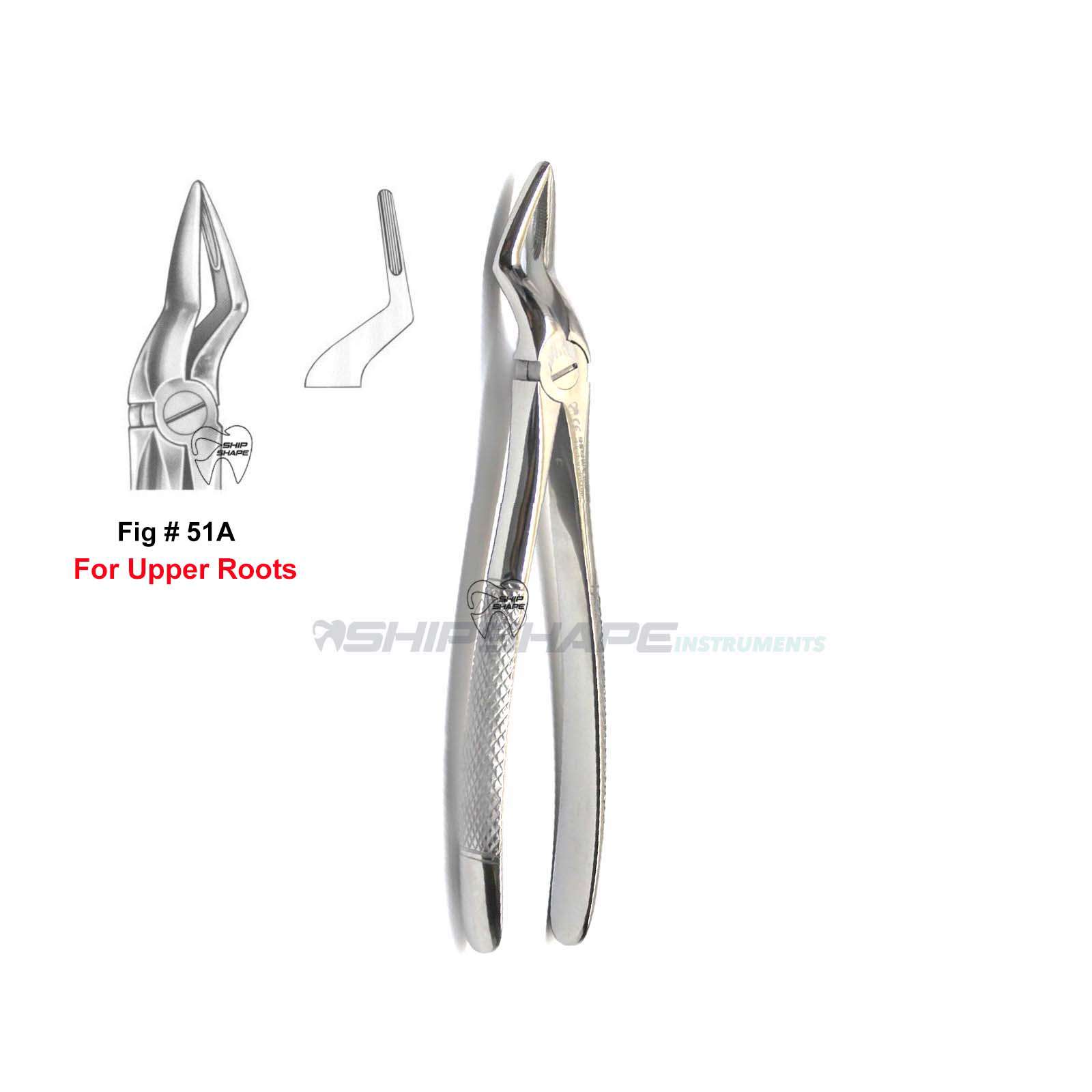 Extraction Forceps #51 Upper Roots