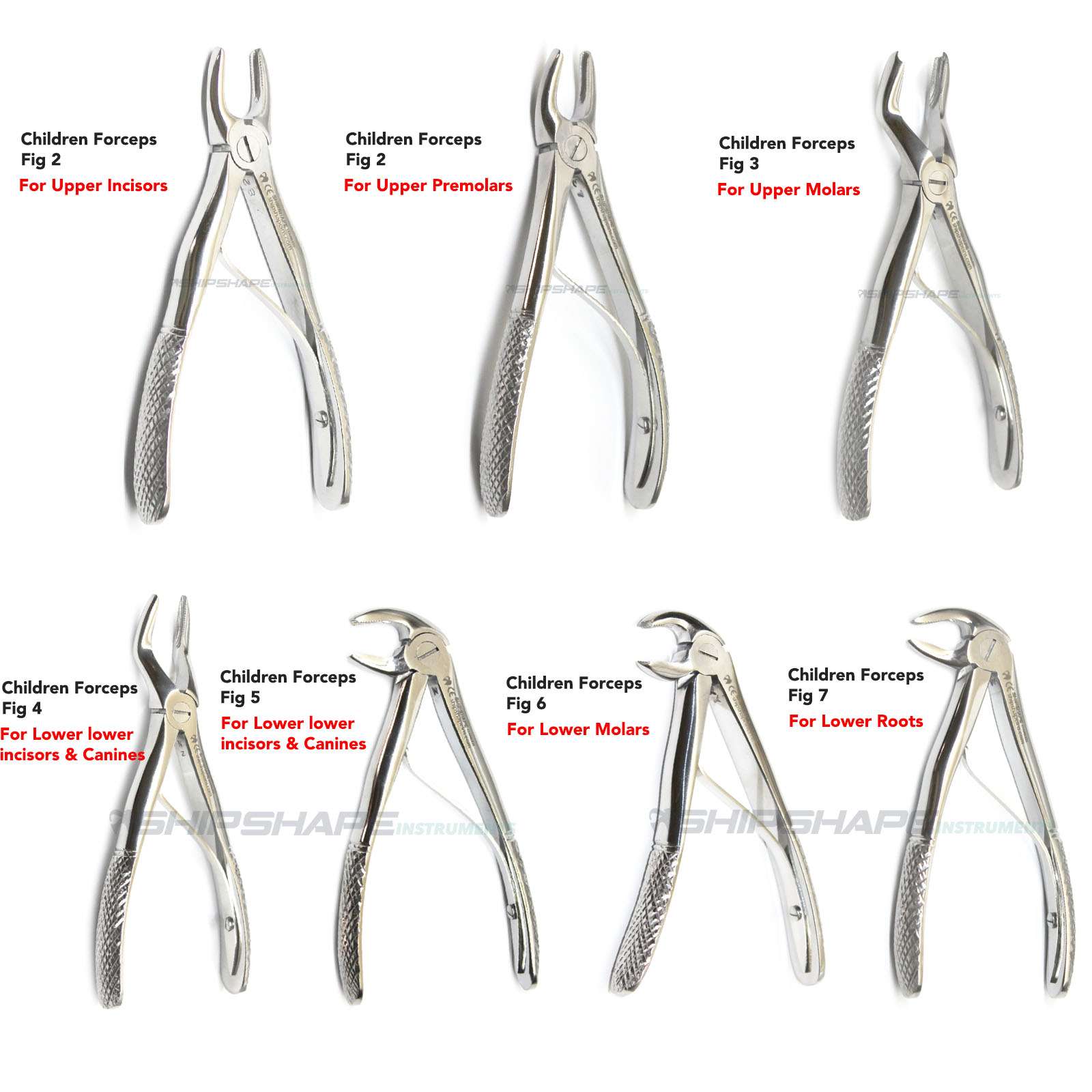 Pediatric Extraction Forceps Set Of 7