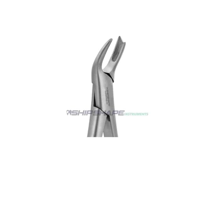 Extraction Forceps #89