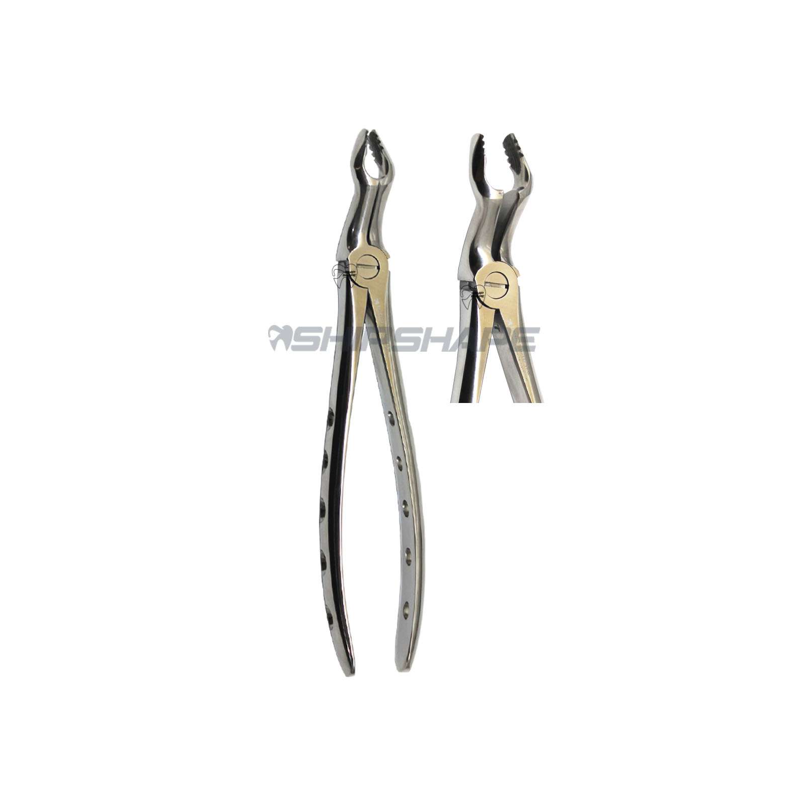 Atraumatic Extraction Forceps F6