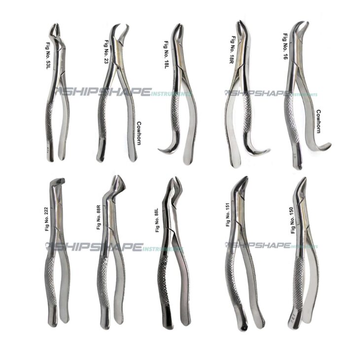 Dental Extraction forceps set
